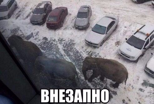 Новые прикольные фотомемы (28 шт) Новые прикольные фотомемы (28 шт)