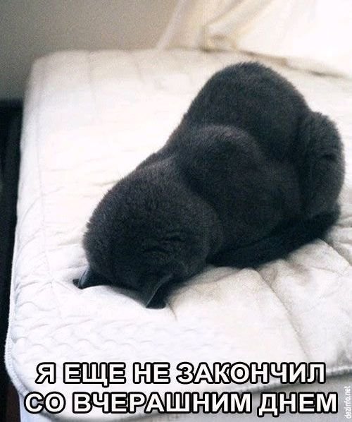 Фотоприколы про работу после длинных выходных (18 фото) Фотоприколы про работу после длинных выходных (18 фото)