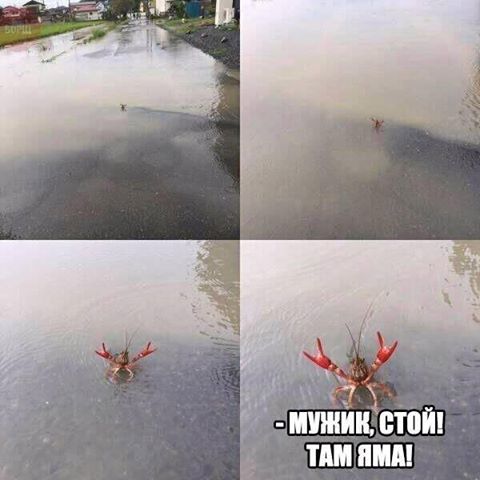 Прикольные картинки в четверг (56 шт) Прикольные картинки в четверг (56 шт)