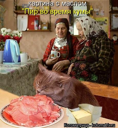 Голодные котоматрицы пятницы (21 шт) Голодные котоматрицы пятницы (21 шт)