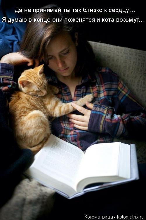 Свежая котоматрица (21 фото) Свежая котоматрица (21 фото)