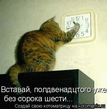 Свежая котоматрица (21 фото) Свежая котоматрица (21 фото)