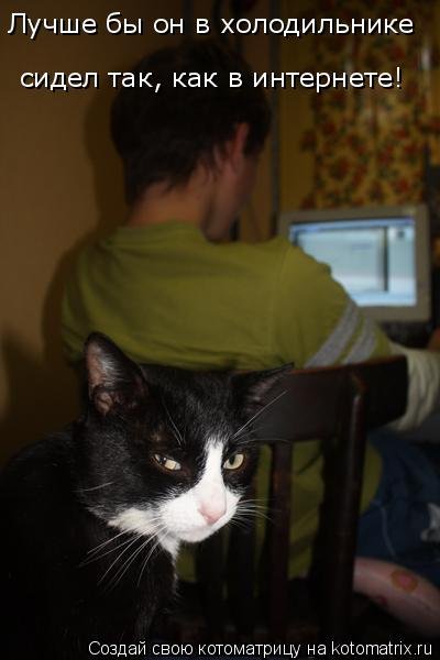 Свежая котоматрица (21 фото) Свежая котоматрица (21 фото)