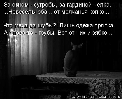 Свежая котоматрица (21 фото) Свежая котоматрица (21 фото)