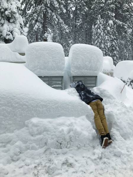 Прикольные картинки к началу недели (43 шт) Прикольные картинки к началу недели (43 шт)