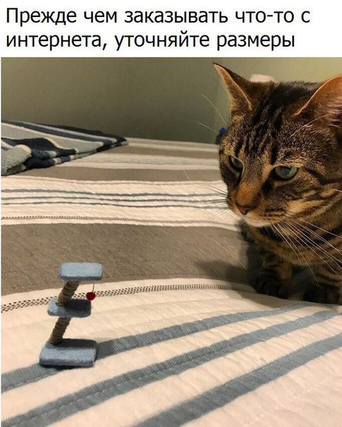 Новые прикольные фотомемы на Бугаге (30 шт) Новые прикольные фотомемы на Бугаге (30 шт)