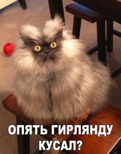 Новые прикольные фотомемы на Бугаге (30 шт) Новые прикольные фотомемы на Бугаге (30 шт)