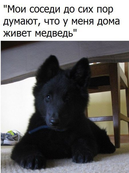 Новые прикольные фотомемы на Бугаге (30 шт) Новые прикольные фотомемы на Бугаге (30 шт)