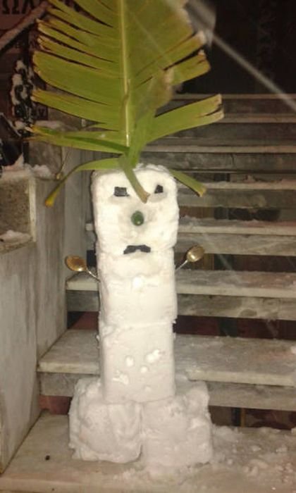 Прикольные картинки про зиму (35 шт) Прикольные картинки про зиму (35 шт)