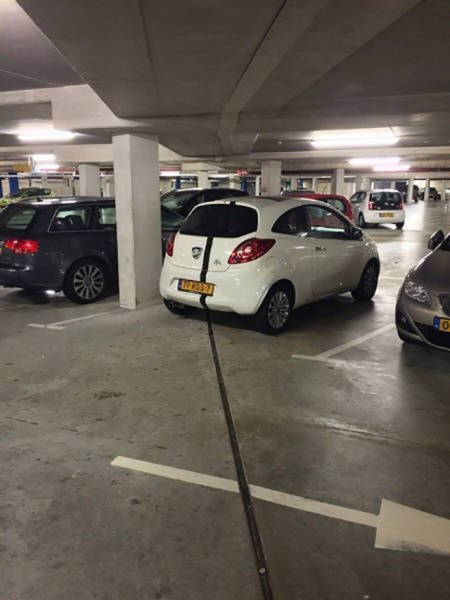 Удачные стоп-кадры (28 фото) Удачные стоп-кадры (28 фото)