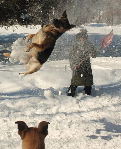 За секунду до… (30 фото) За секунду до… (30 фото)