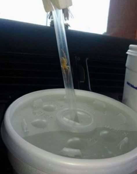 За секунду до… (30 фото) За секунду до… (30 фото)