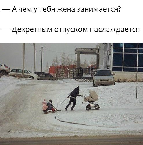 Новые прикольные фотомемы (25 шт) Новые прикольные фотомемы (25 шт)