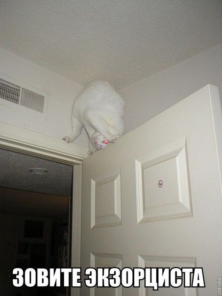 Новые прикольные фотомемы (25 шт) Новые прикольные фотомемы (25 шт)