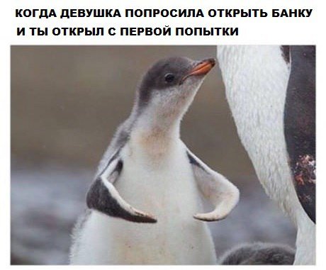 Новые прикольные фотомемы (25 шт) Новые прикольные фотомемы (25 шт)