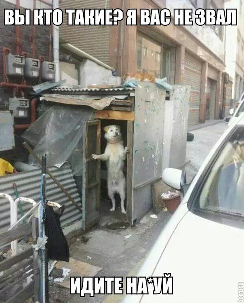 Новые прикольные фотомемы (25 шт) Новые прикольные фотомемы (25 шт)