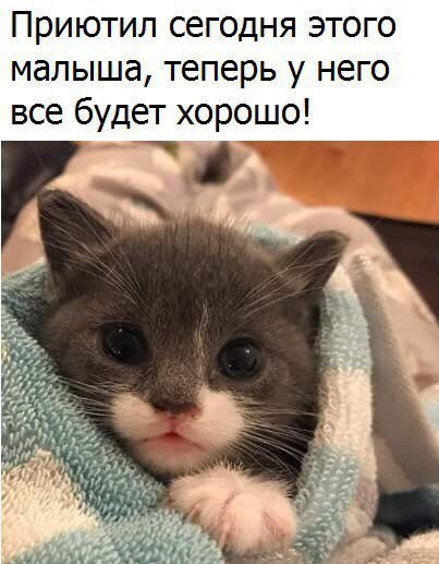 Новые прикольные фотомемы (25 шт) Новые прикольные фотомемы (25 шт)