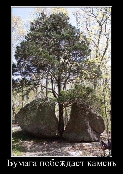 Очередная порция демотиваторов (15 шт) Очередная порция демотиваторов (15 шт)