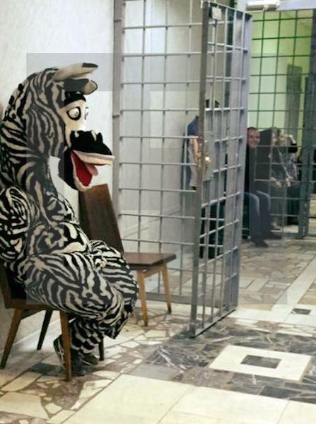 Фото-приколы для настроения (47 шт) Фото-приколы для настроения (47 шт)