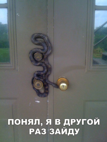 Новые фотомемы (22 шт) Новые фотомемы (22 шт)