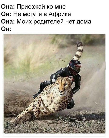 Новые фотомемы (22 шт) Новые фотомемы (22 шт)