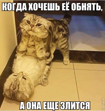 Новые фотомемы (22 шт) Новые фотомемы (22 шт)