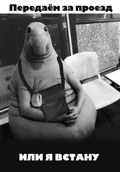 Скульптура голландской художницы "Ждун" стала героем Интернет-шуток (11 фото) Скульптура голландской художницы "Ждун" стала героем Интернет-шуток (11 фото)