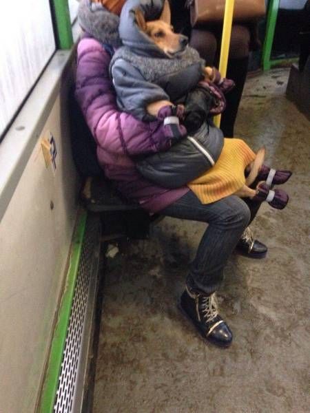 Новые прикольные картинки (54 шт) Новые прикольные картинки (54 шт)