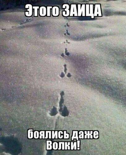 Новые прикольные картинки (54 шт) Новые прикольные картинки (54 шт)