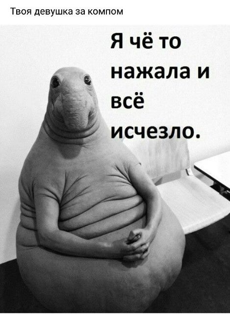 Новые прикольные картинки (54 шт) Новые прикольные картинки (54 шт)