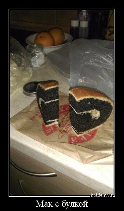 Новые демотиваторы для всех (14 шт) Новые демотиваторы для всех (14 шт)