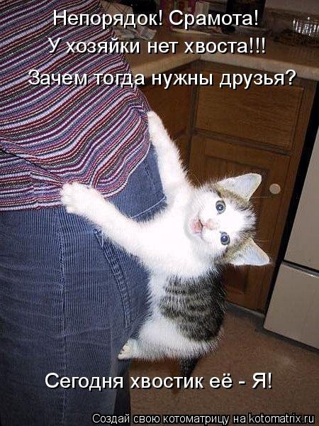 Свежая котоматрица на Бугаге (37 фото) Свежая котоматрица на Бугаге (37 фото)