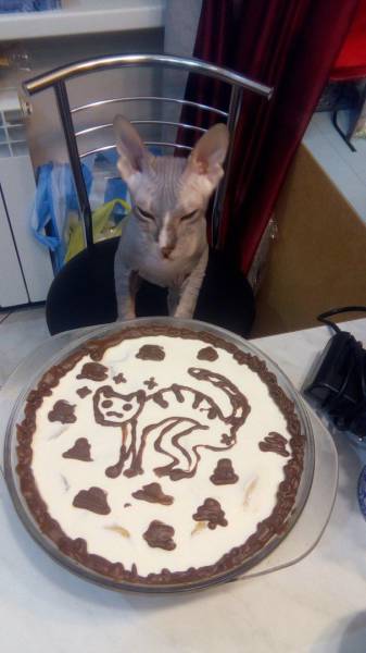 Прикольные картинки для всех (44 шт)