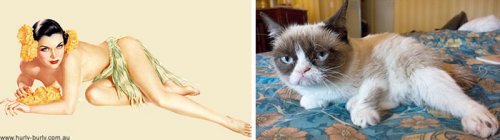 Кошки в образе пинап-девушек (27 фото)