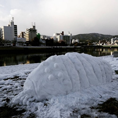 Что происходит, когда в Японии выпадает много снега (26 фото)