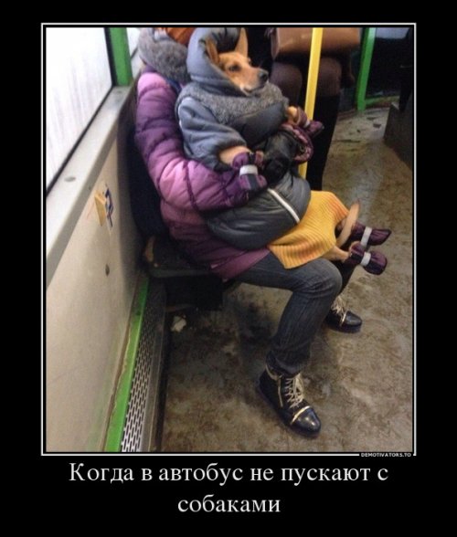 1485335197_demotivatory-13.jpg