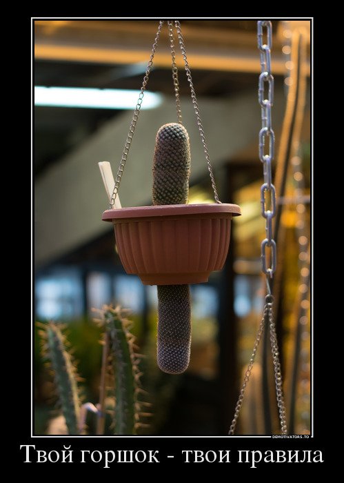Свежие демотиваторы-приколы (17 шт) Свежие демотиваторы-приколы (17 шт)