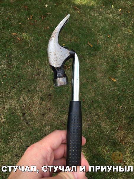 Прикольные фотомемы (20 шт) Прикольные фотомемы (20 шт)