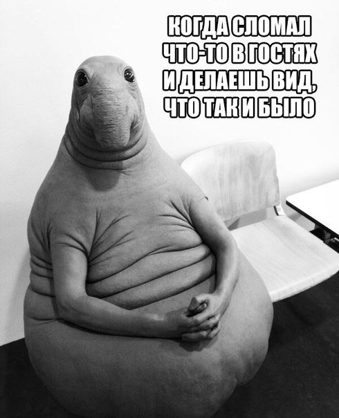 Прикольные фотомемы (20 шт) Прикольные фотомемы (20 шт)