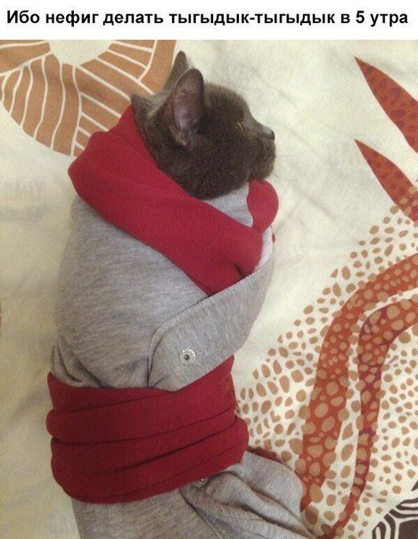 Прикольные фотомемы (20 шт) Прикольные фотомемы (20 шт)