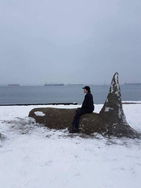 Прикольные картинки дня (54 шт) Прикольные картинки дня (54 шт)