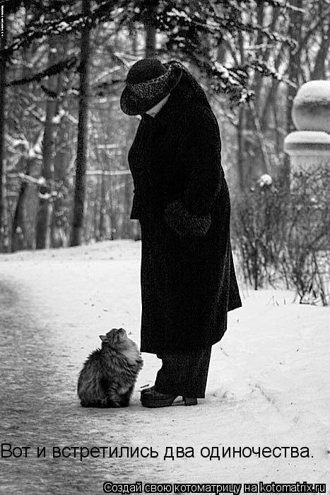 Котоматрица, 14-е февраля. Котоматрица, 14-е февраля.