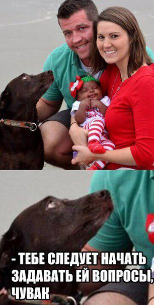 Прикольные картинки вторника (52 шт) Прикольные картинки вторника (52 шт)