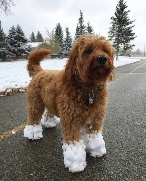 Прикольные картинки вторника (52 шт) Прикольные картинки вторника (52 шт)