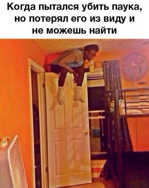 Прикольные фотомемы (34 шт) Прикольные фотомемы (34 шт)