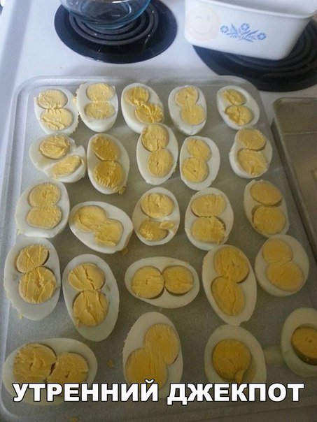 Прикольные фотомемы (34 шт) Прикольные фотомемы (34 шт)