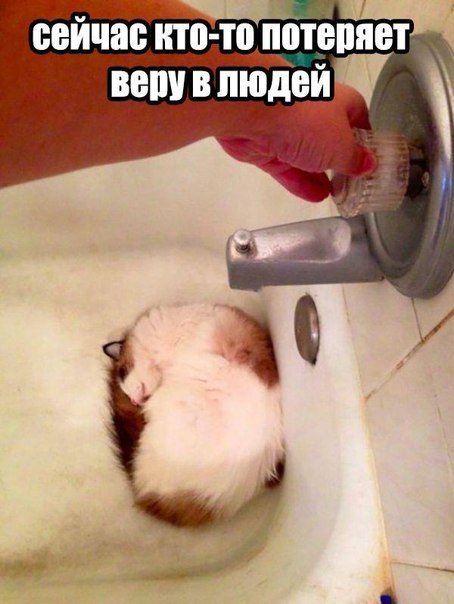 Прикольные фотомемы (34 шт) Прикольные фотомемы (34 шт)