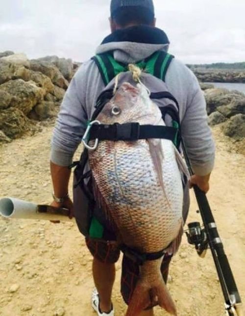 Странности в фотографиях (26 фото) Странности в фотографиях (26 фото)