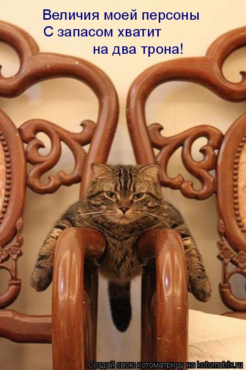 Новая котоматрица на Бугаге (44 фото) Новая котоматрица на Бугаге (44 фото)