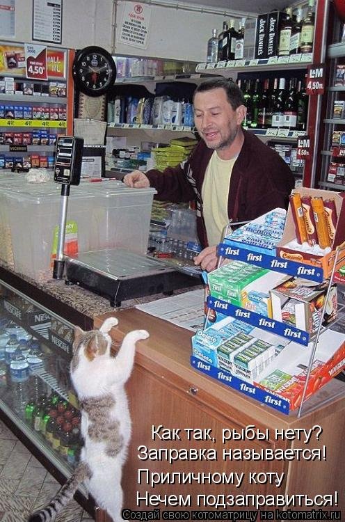 Новая котоматрица на Бугаге (44 фото) Новая котоматрица на Бугаге (44 фото)